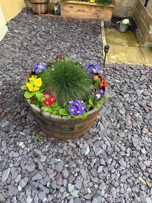 Quaint 1 Bedroom Cottage In Pudsey, Leeds المظهر الخارجي الصورة